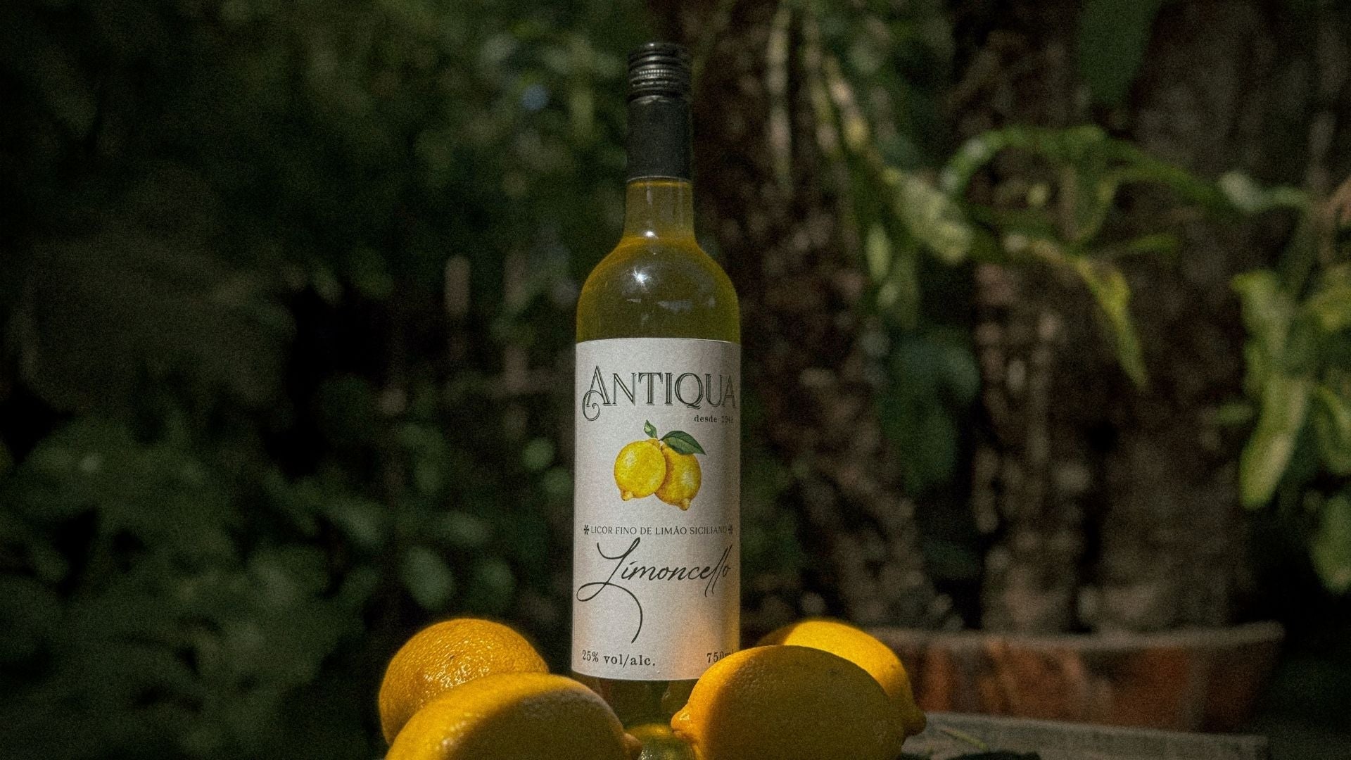 Limoncello Spritz: O Coquetel do Ano – Weber Haus