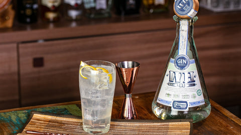 Dia Mundial do Gin Tônica: Conheça a história desse drink clássico