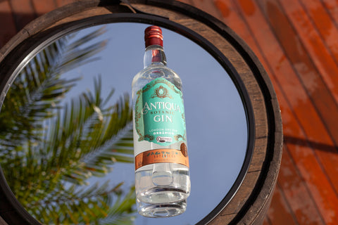 Garrafa de Gin Antiqua Botanic 1000ml em ambiente externo.