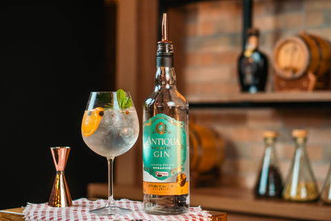 Garrafa de Gin Antiqua Botanic acompanhada de drink.