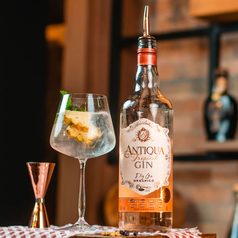 Gin Tônica