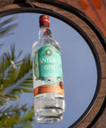Garrafa de Gin Antiqua Botanic 1000ml em ambiente externo.