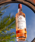 Garrafa de Gin Antiqua Tropical 1000ml em ambiente externo.