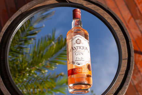 Garrafa de Gin Antiqua Tropical 1000ml em ambiente externo.