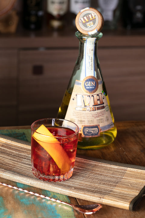 Gin WH48 Amburana servido com drink Negroni.