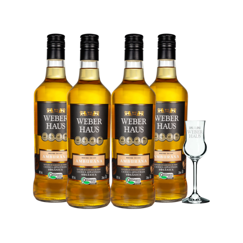 Combo com 4 unidades de Cachaça Amburana com Taça Alambique